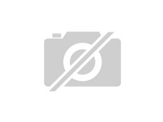 Süße Babyratten kostenlos abzugeben